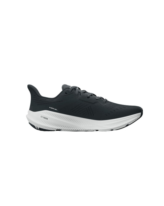 Altra Men's Experience Flow 2