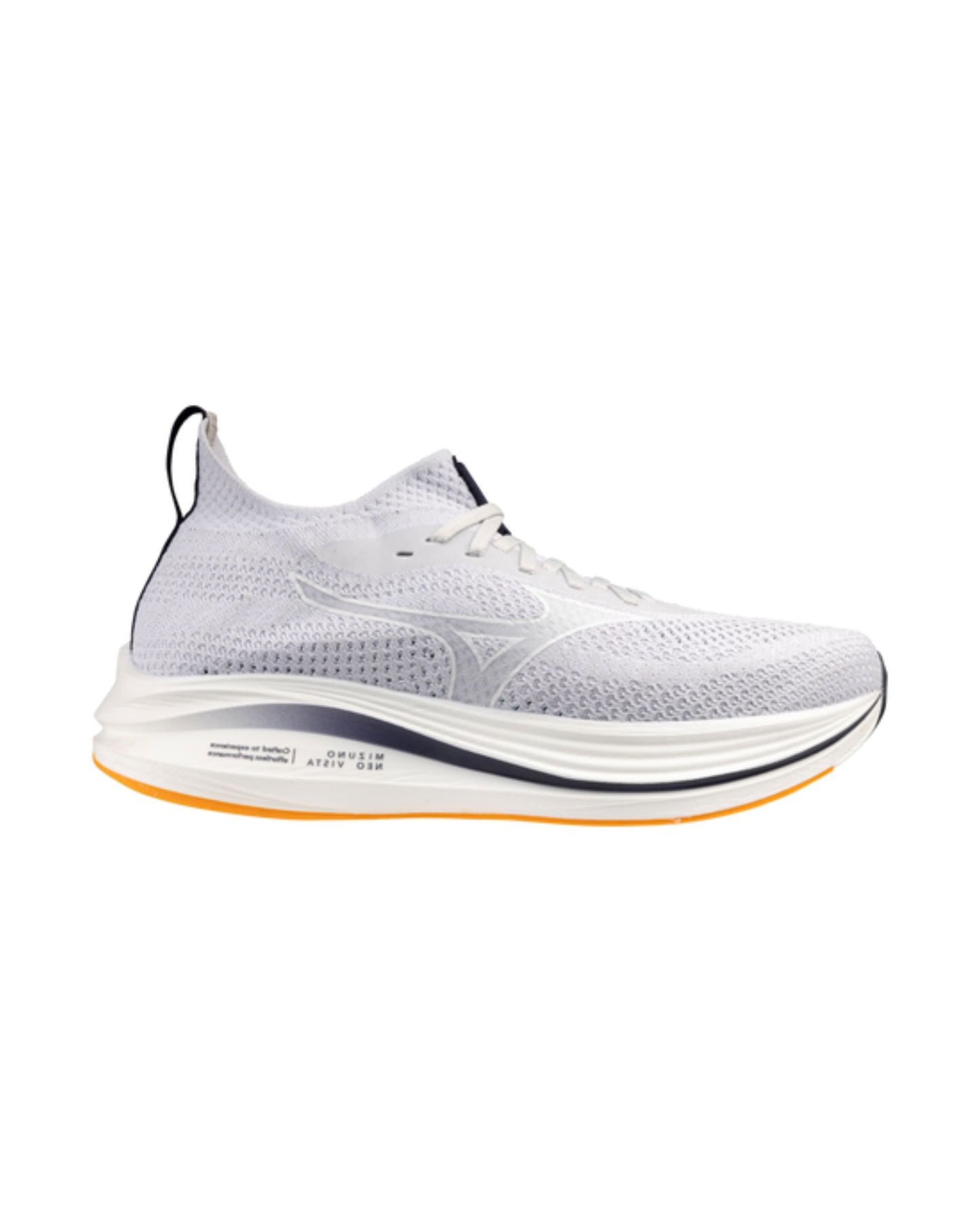 Mizuno Men's Neo Zen
