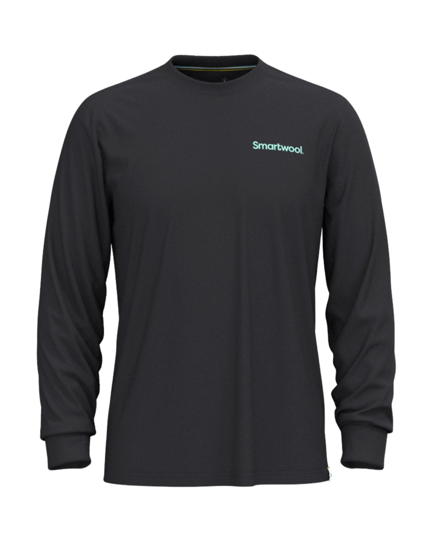 Smartwool Gondola View Long Sleeve Graphic Tee
