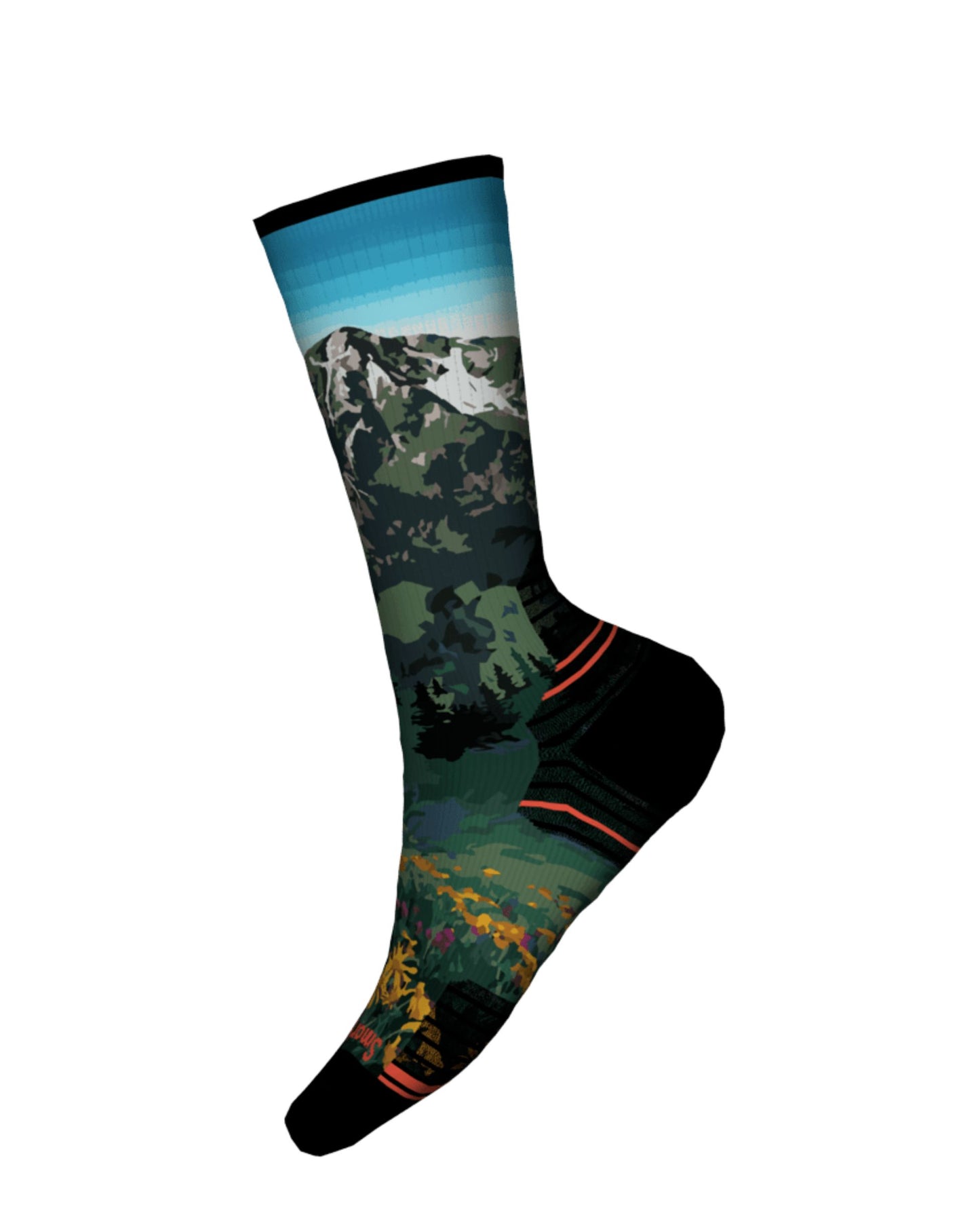 Smartwool Women's Hike Targeted Cushion Mountain Lake Print Crew Socks