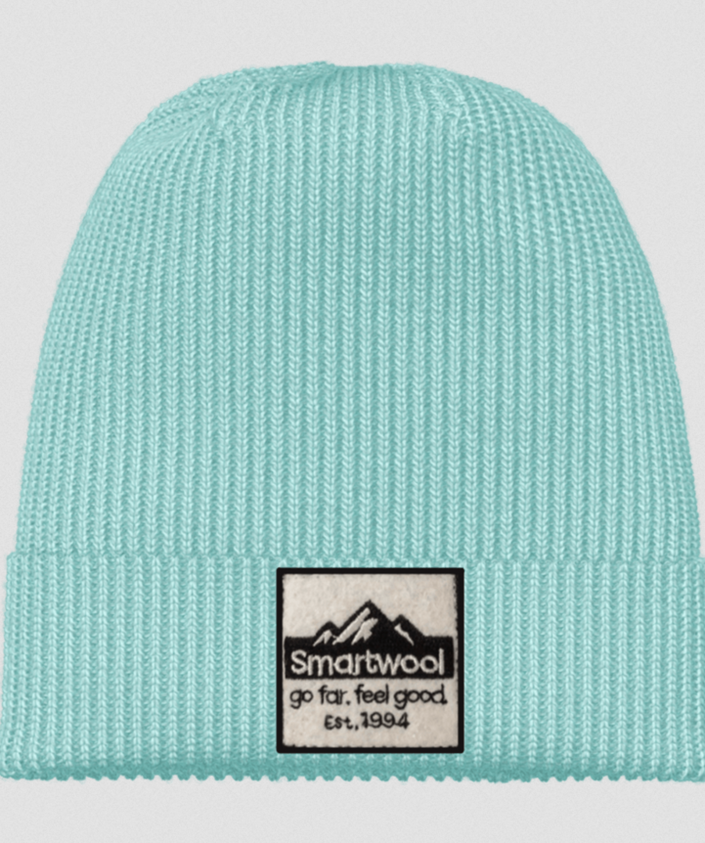 Smartwool Patch Beanie