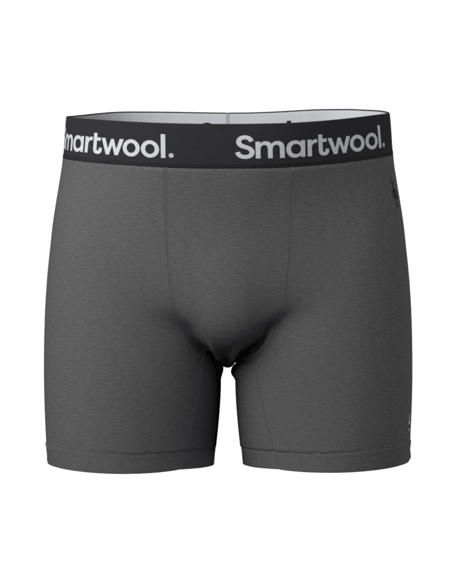 Smartwool Men's Active Boxer Brief Boxed
