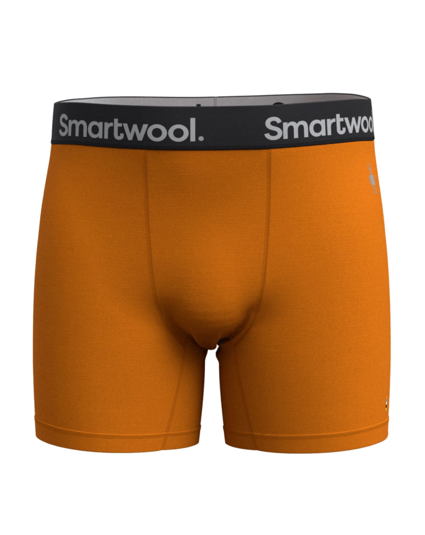 Smartwool Men's Active Boxer Brief Boxed