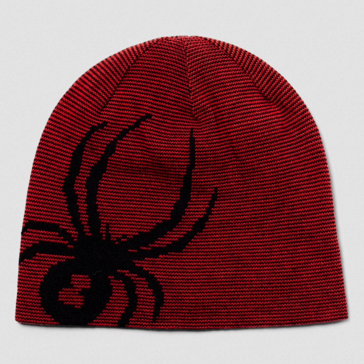 Spyder Junior Reversible Bug Hat