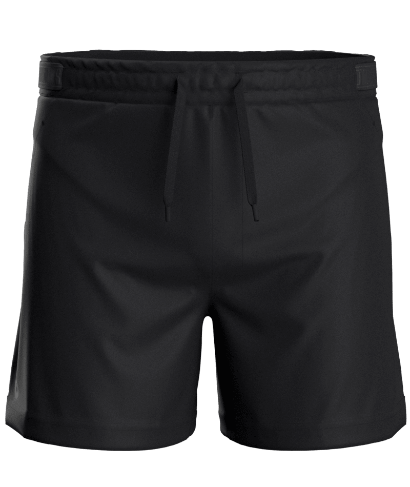 Smartwool Men's Active Lined 5'' Short