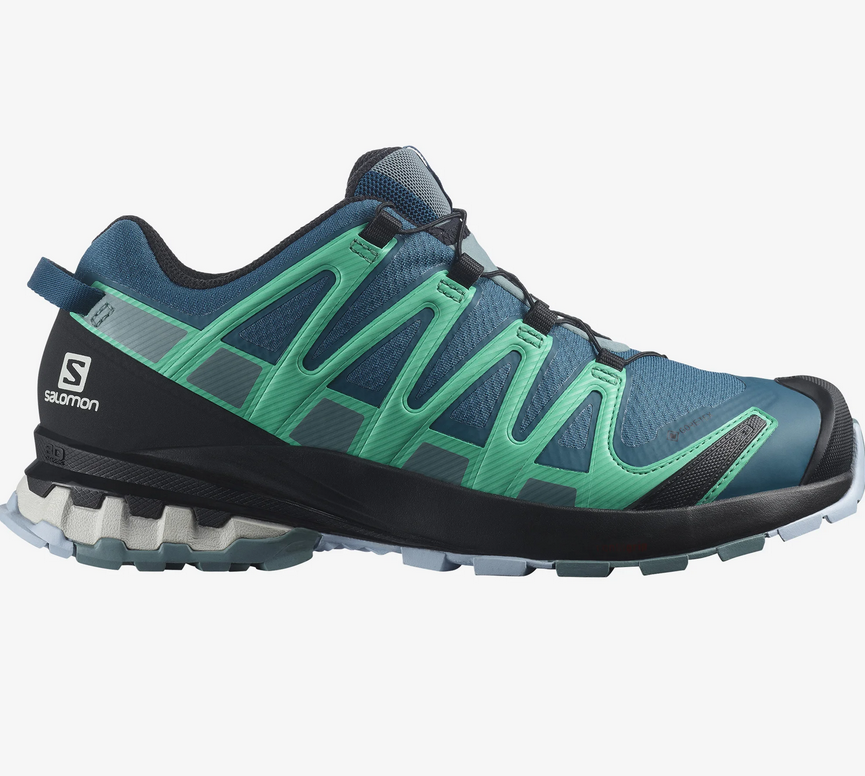 Salomon Women's XA Pro 3D v8 GTX - Legion Blue