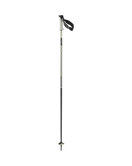 Salomon Polar Pro S3 Ski Poles - White Moss