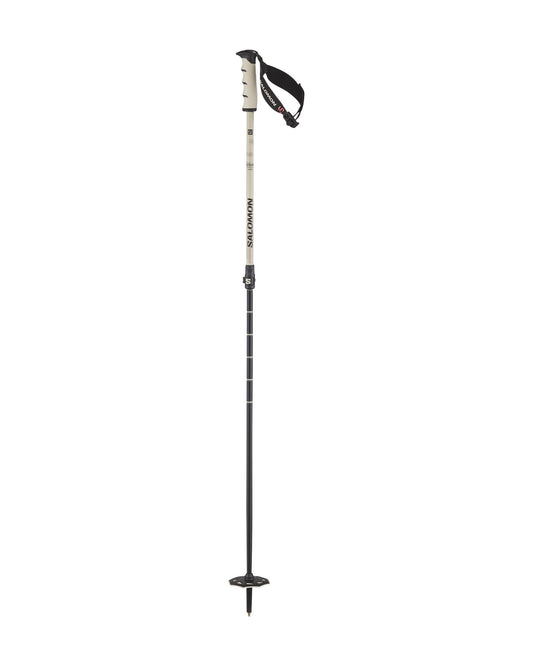 Salomon Steep Vario S3 Ski Poles - Rainy Day