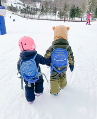 MDXONE Backpack Ski Harness + Leash - Blue