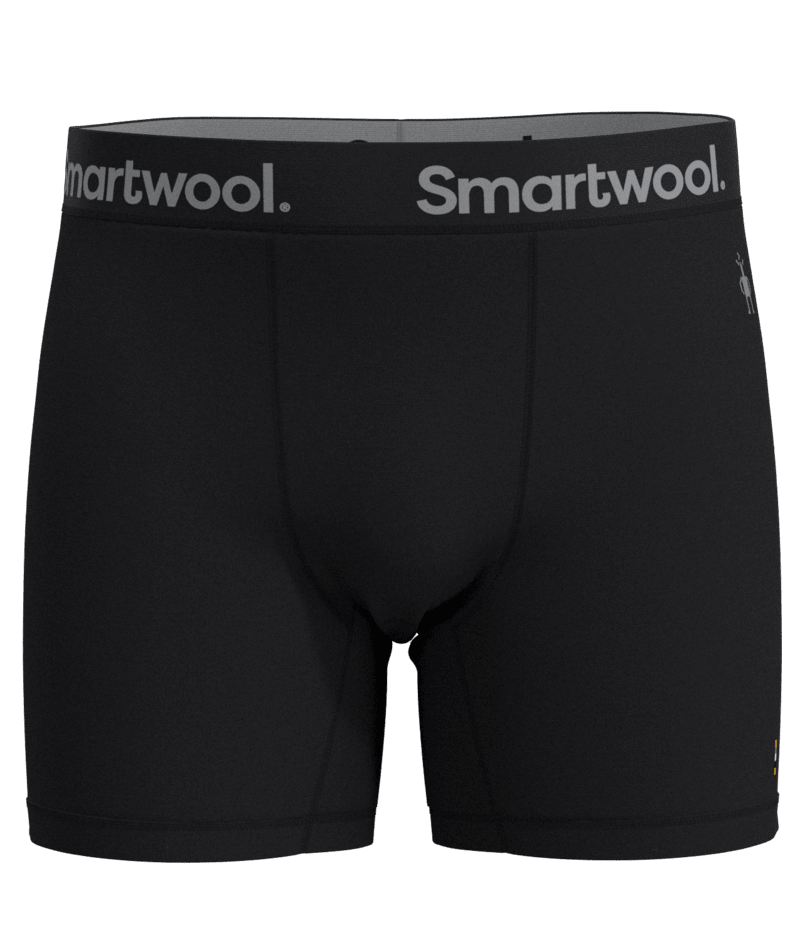 Smartwool Men's Active Boxer Brief