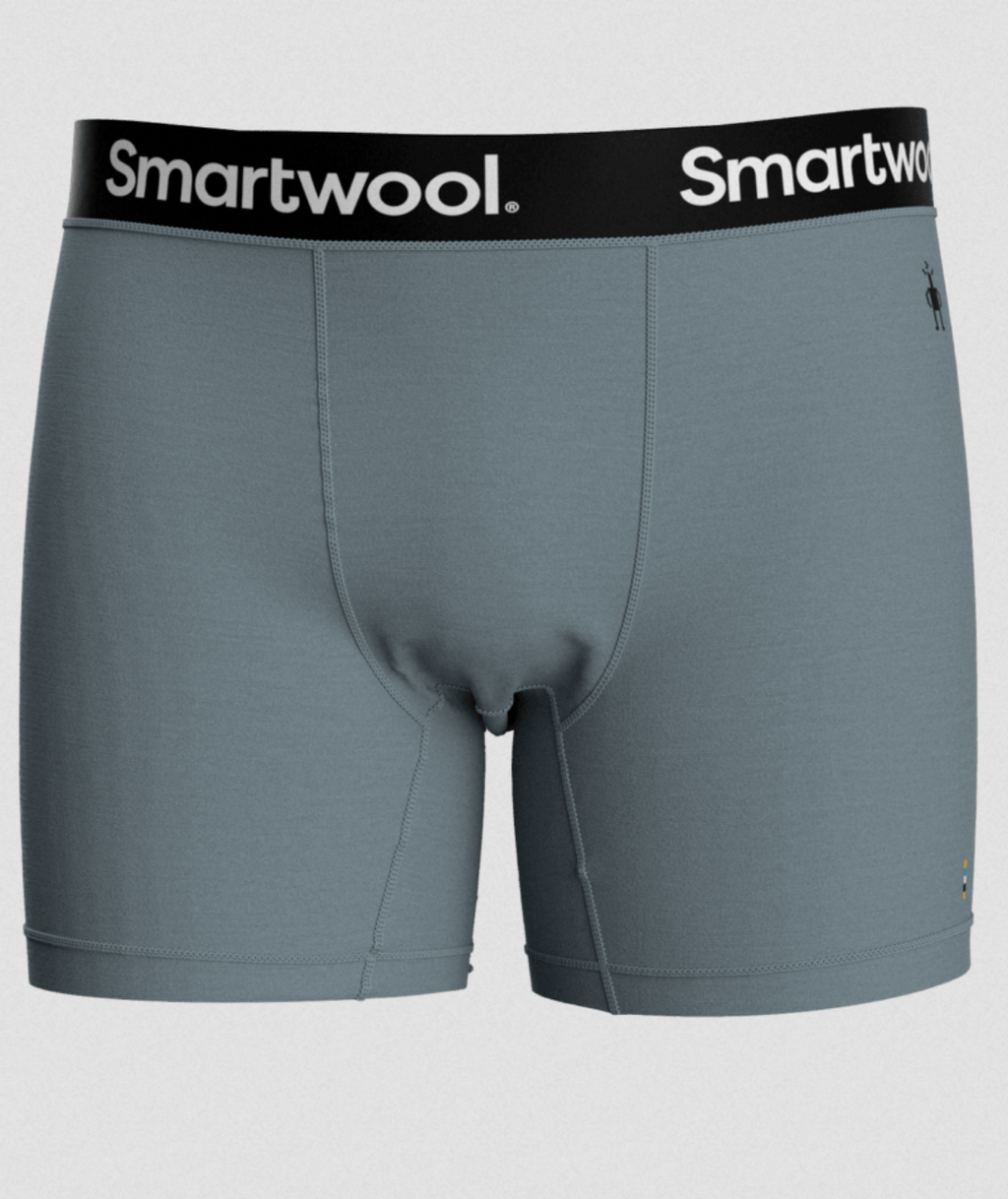 Smartwool Men's Boxer Brief *SALE*