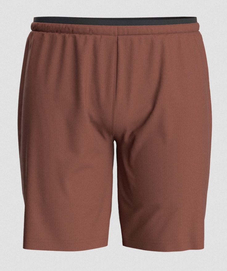 Smartwool Men's Active Lined 8" Short